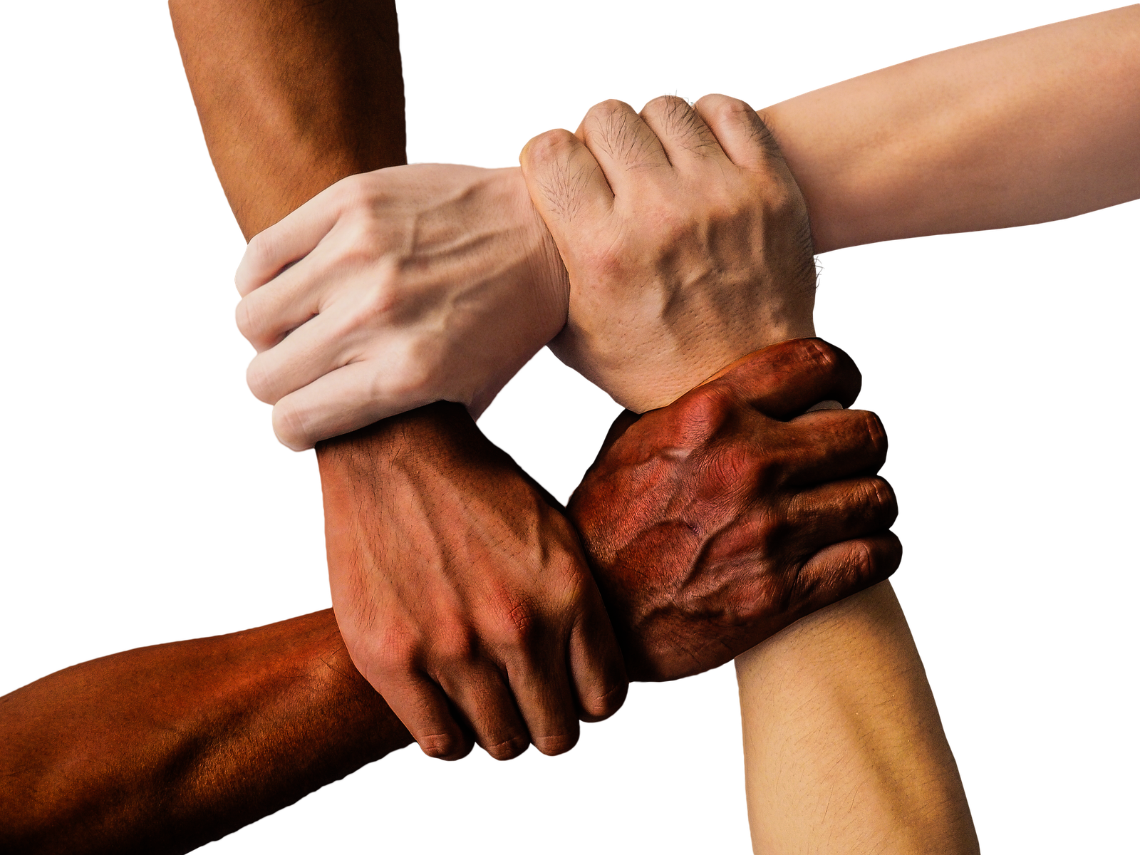 Unión estratégica para proyectos empresariales